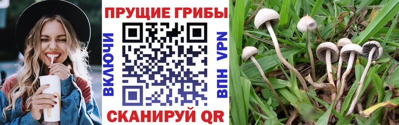 Галлюциногенные грибы мицелий  цены   Полысаево 